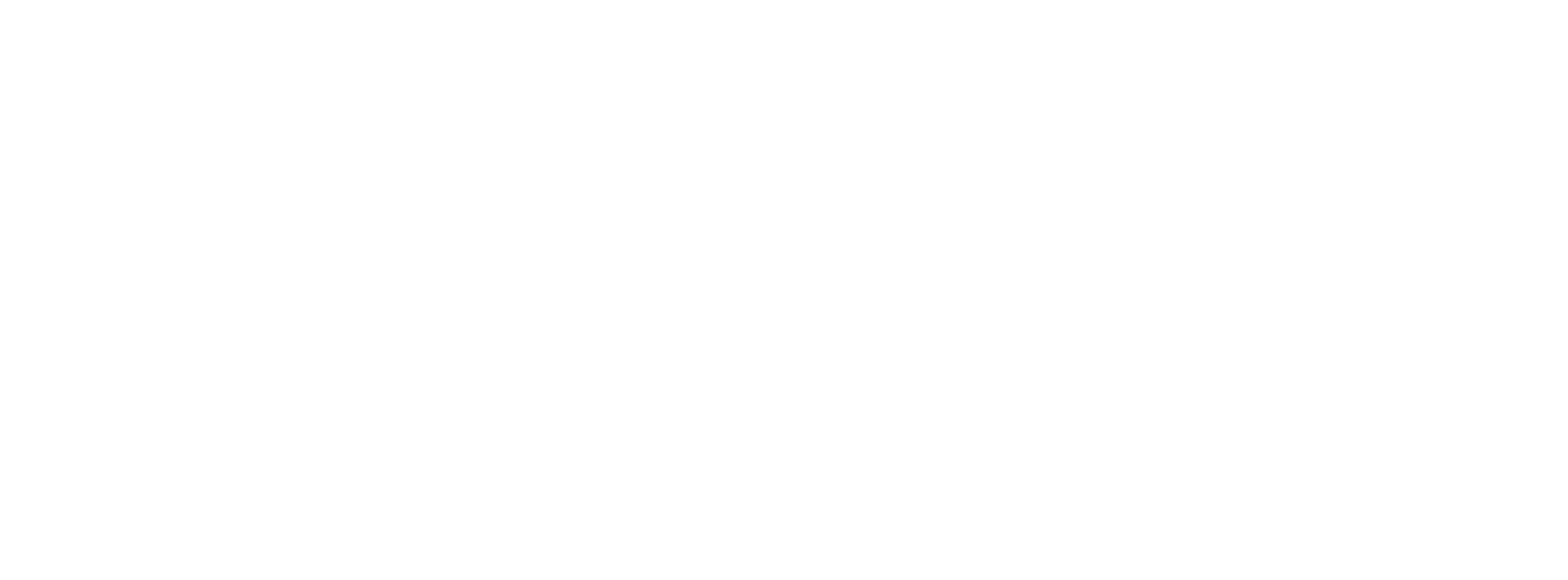 The Center of Excellence on Inclusive Practice